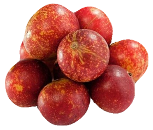 Camu CamuFruit Image