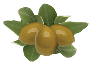 Olive Fruit Image 300pix